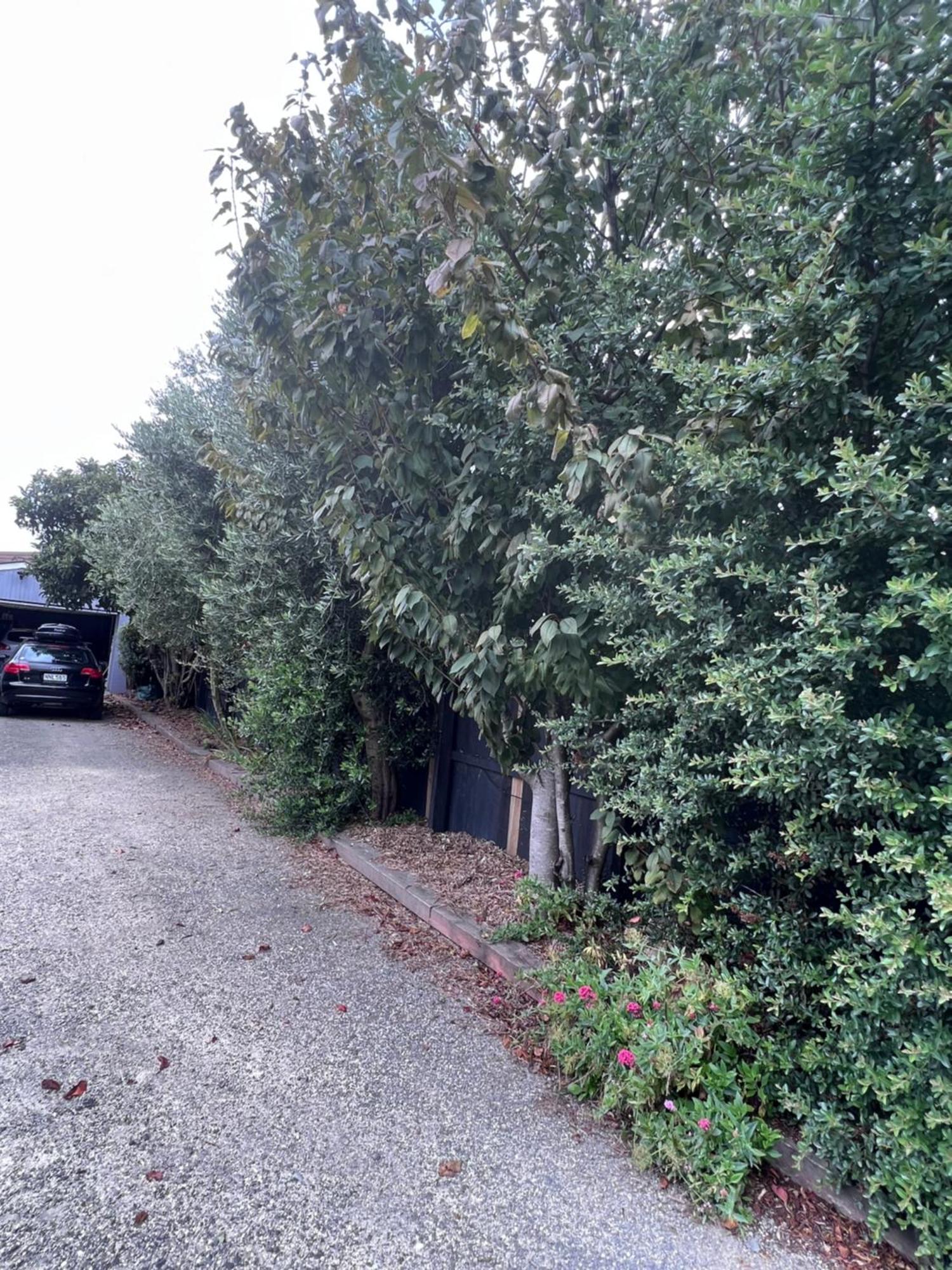 Gorgeous Villa, 7 Minutes From Airport Christchurch Exterior foto